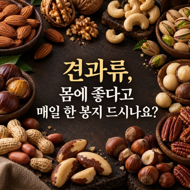 견과류, 몸에 좋다고 매일 한 봉지 드시나요? 종류부터 하루 섭취량·고르는 법·보관법·주의....
