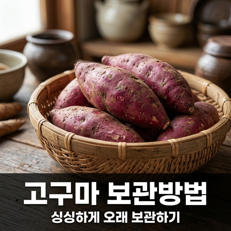 고구마 보관방법 실온 및 냉동 완벽 정리와 상한 고구마 구별법