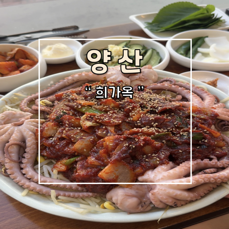 양산 로컬 한식 맛집 가족외식 혼밥 희가옥 추천 후기