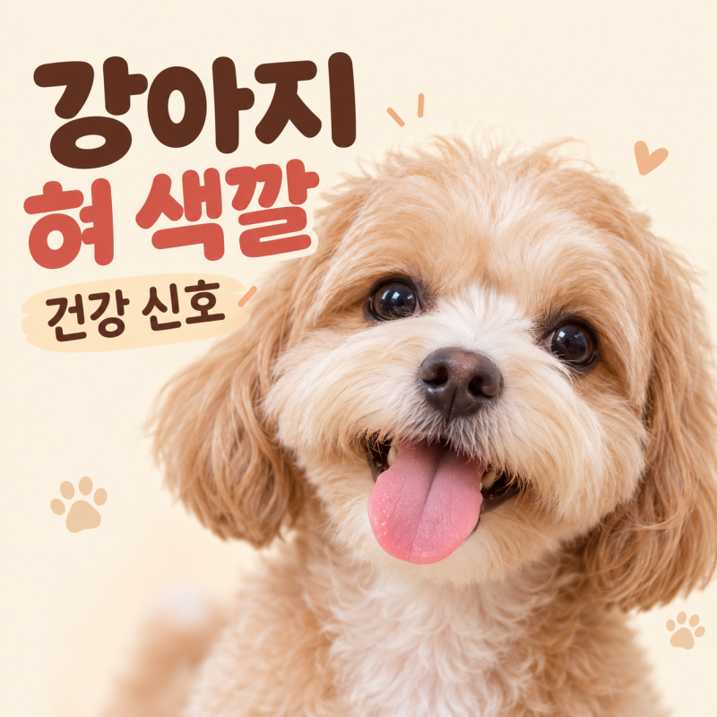 강아지 혀 색깔로 보는 건강 신호! 분홍색·하얀색·파란색·노란색 혀의 의미
