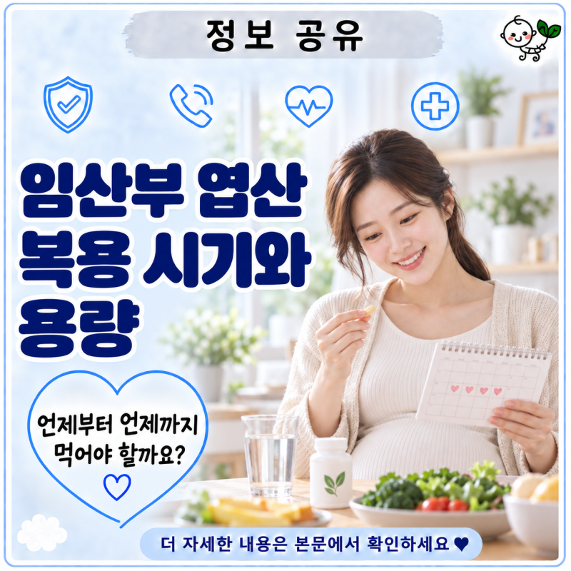 임산부 엽산 복용 시기와 용량 | 언제부터 언제까지 먹어야 할까?