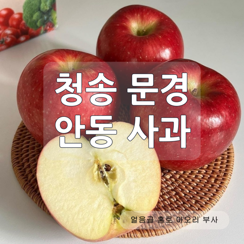 꿀사과 햇사과 고르는 법, 홍로·아오리·부사 차이와 선물세트 구성