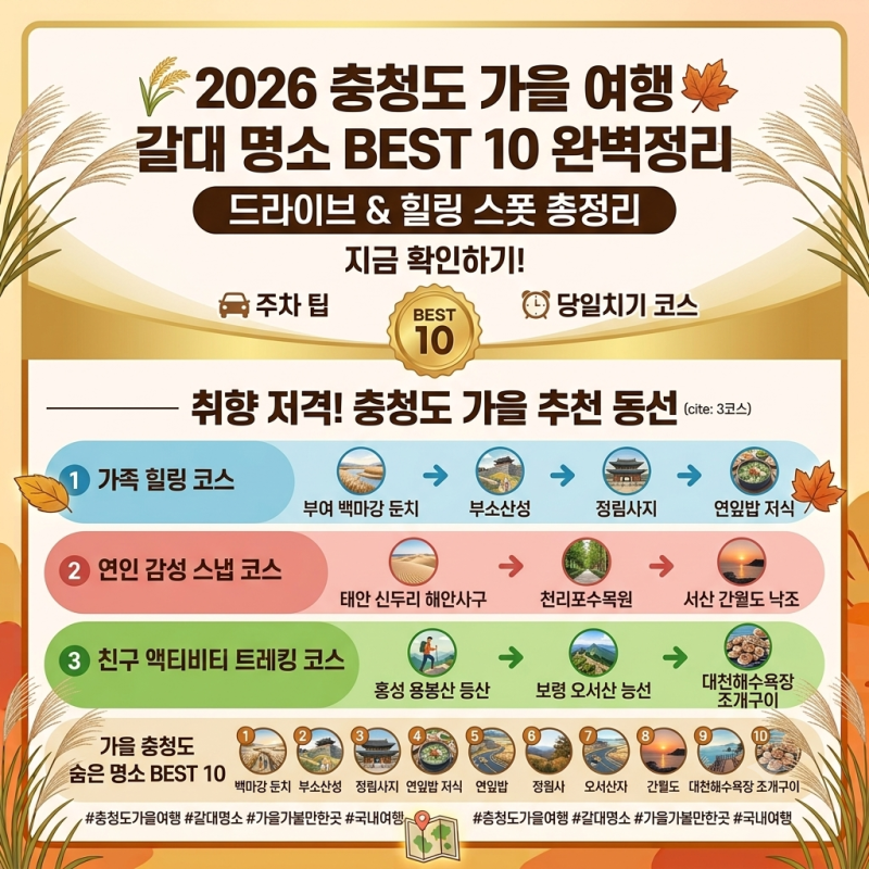 2026忠清道秋の旅行おすすめスポット ススキの名所ベスト10 ドライブコースと隠れたヒーリングスポット