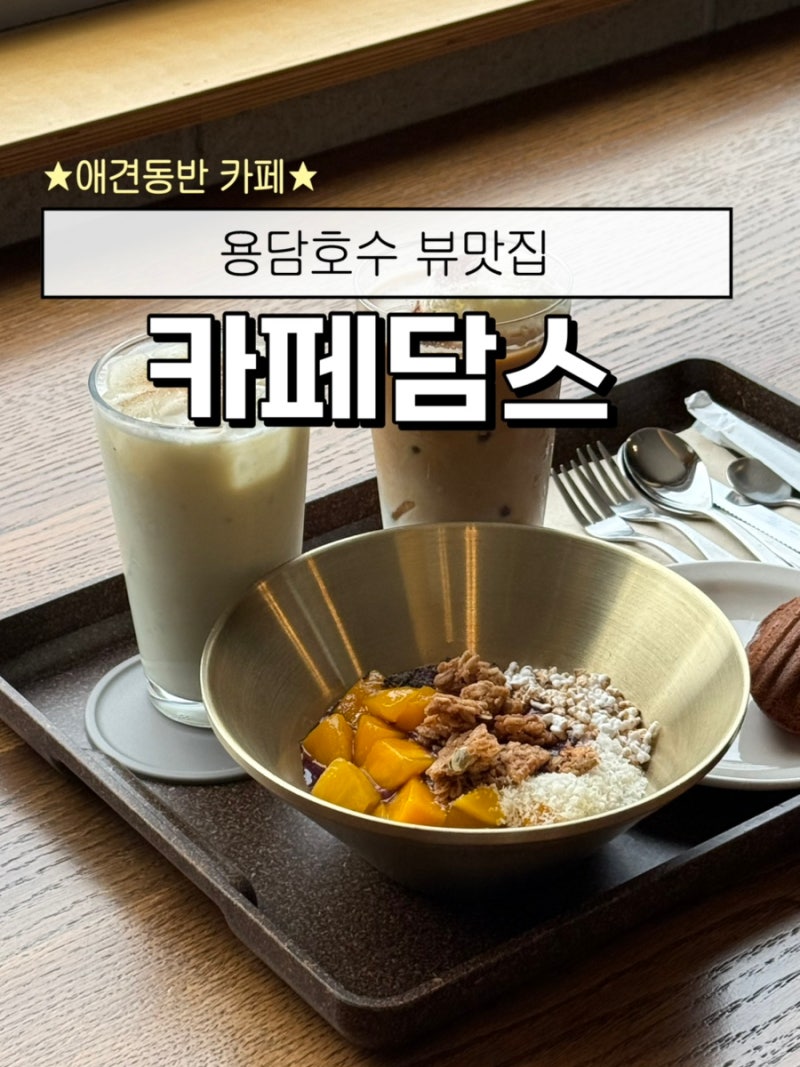 용인 애견동반카페 카페담스 용담호수 뷰맛집 분위기 좋은 카페에서 즐기는 브런치