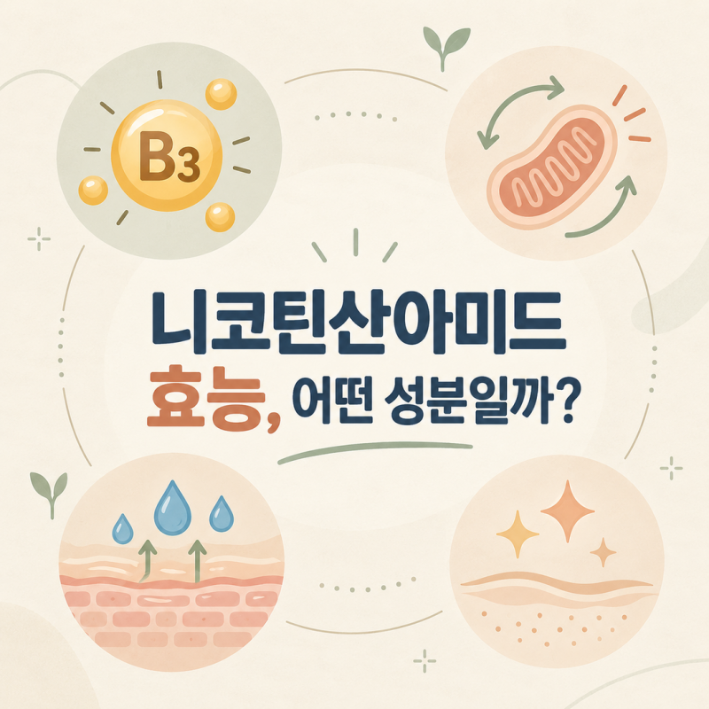 니코틴산아미드 효능, 나이아신아마이드와 같은 성분일까? 피부·NAD+ 역할 정리