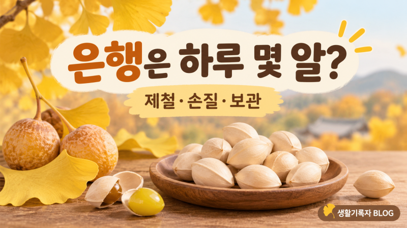 은행은 하루 몇 알까지 먹을까? 제철과 손질·보관법