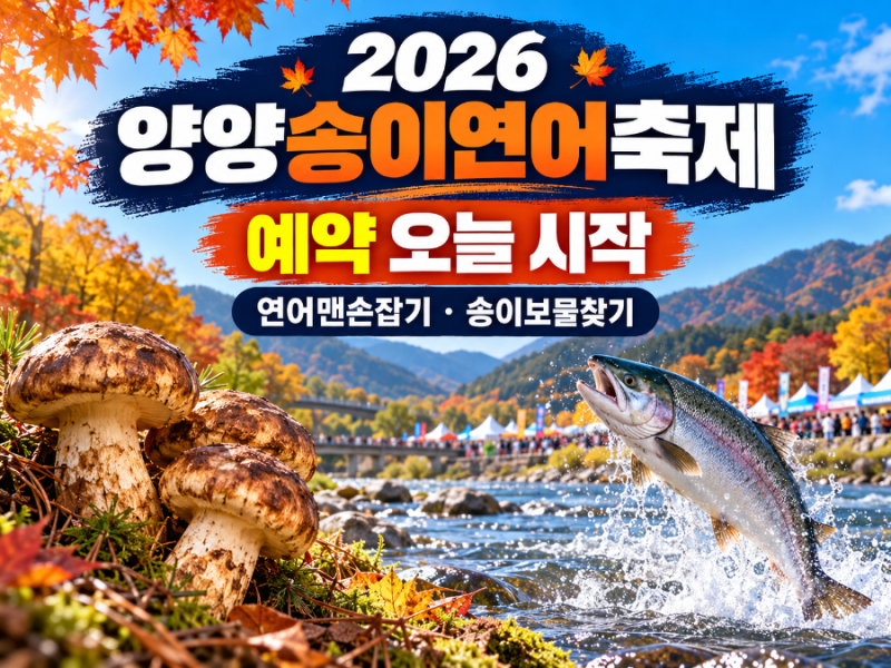2026 양양송이연어축제 예약 오늘 시작｜연어맨손잡기·송이보물찾기 가격·신청방법 총정리