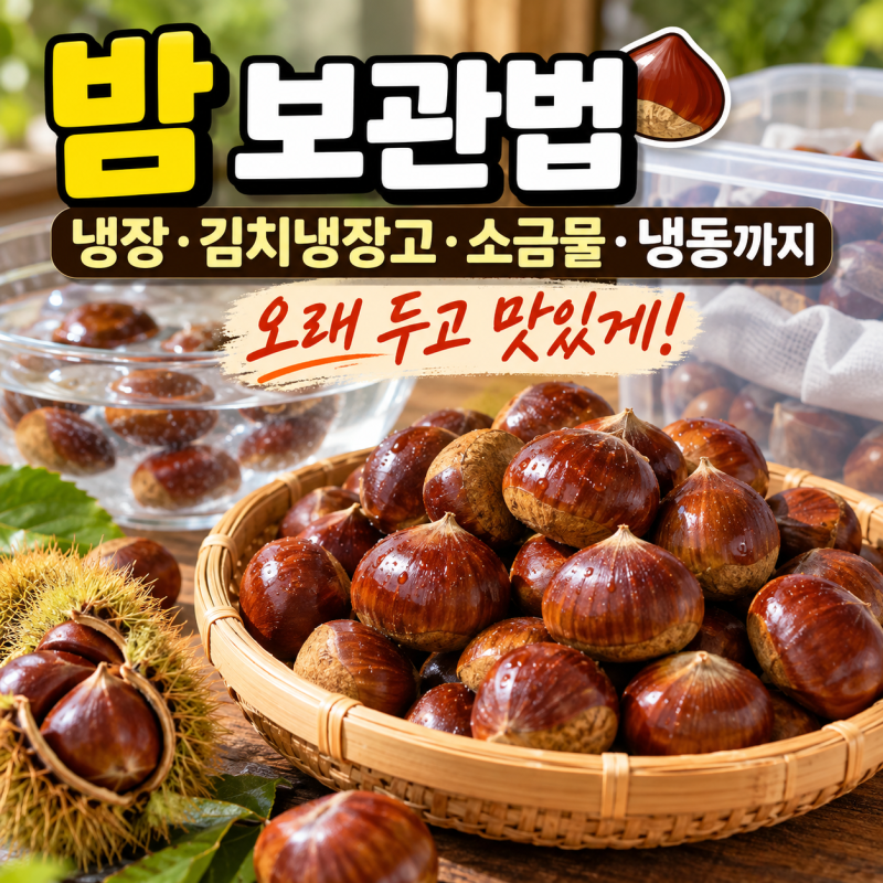 밤 보관법 냉장 김치냉장고 소금물 담그자 생밤 보관 삶는꿀팁