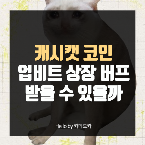 캐시캣 코인 사는 법 업비트 상장 로빈후드 체인 전망 알아보기