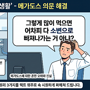 [영양제 팩트체크] 비타민C 알약 10개씩? 2030 직장인들이 '메가도스'에 열광하는 3가지 진짜 이....