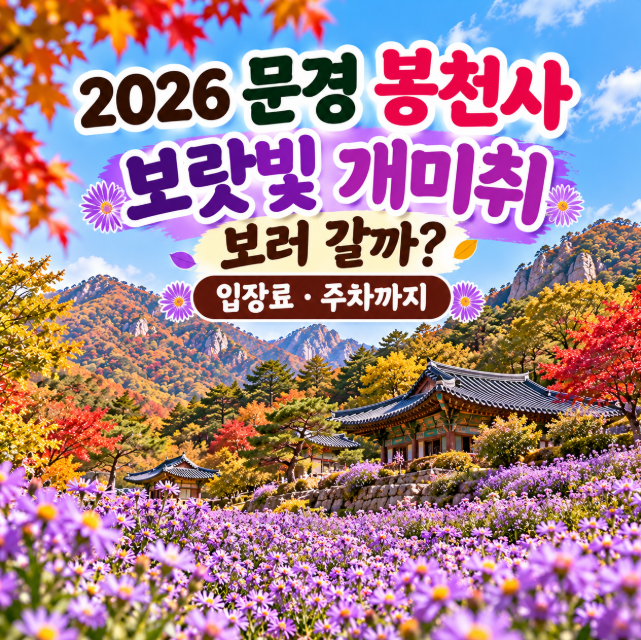 2026 문경 봉천사 개미취꽃축제, 개화상황·입장료·주차 가을 가볼만한곳