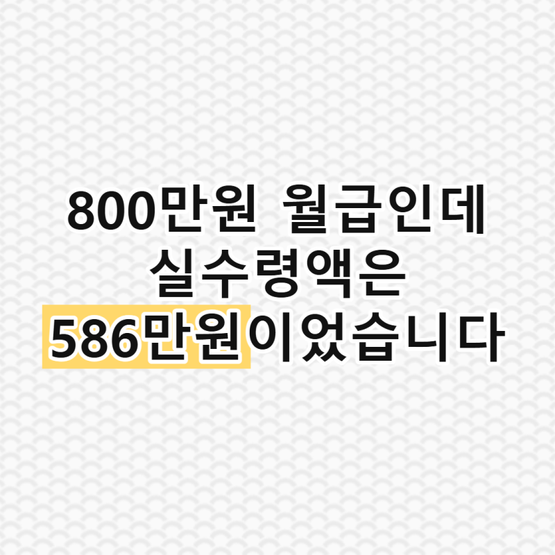 800만원 월급인데 실수령액 보고 깜짝 놀랐어요 공제액 분석