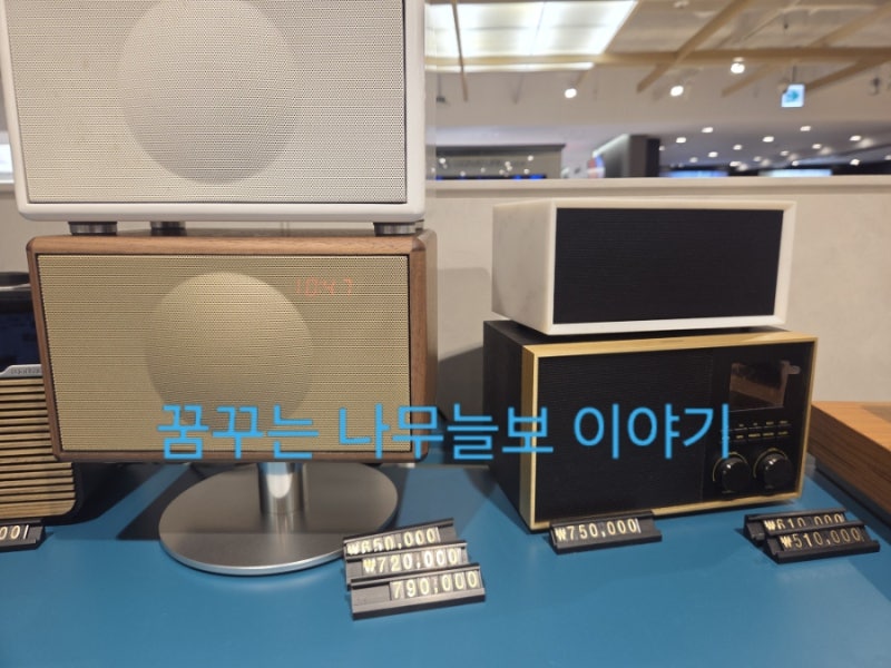 부산 서면 롯데백화점 6층 닥터사운드. 제노바 오디오 청음. 보스 이어폰 및 소니 이어폰 청....