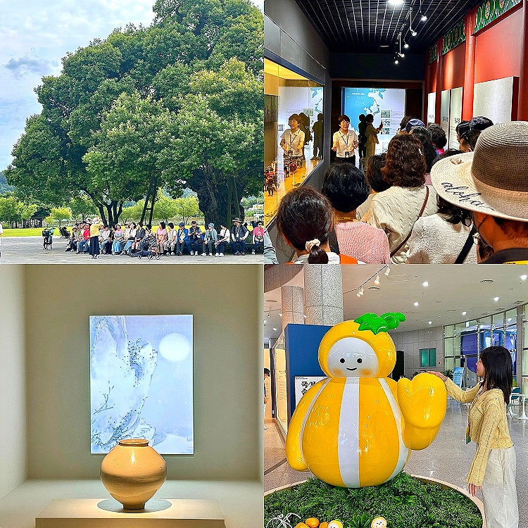 大邱近郊旅遊星州必訪景點 免費巴士之旅 "真誠星州一日遊"