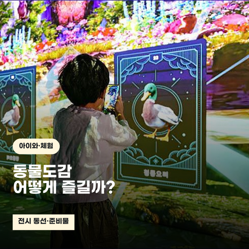 과천 원더파크 동물도감 체험, 아이와 어떤 순서로 둘러볼까?