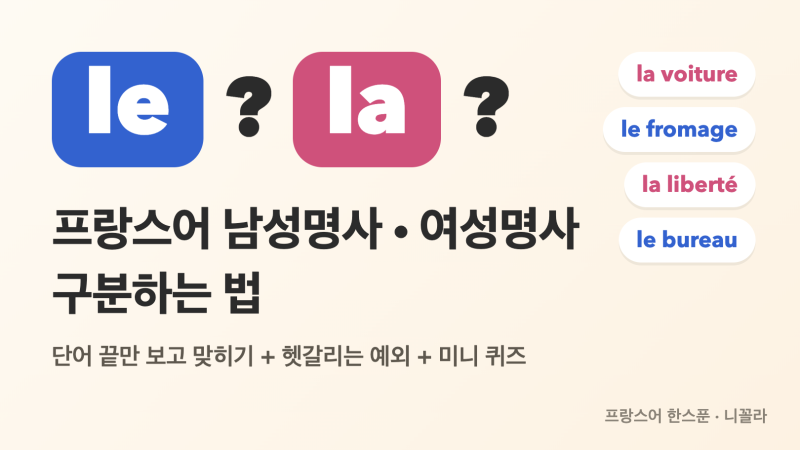 프랑스어 남성명사 여성명사 구분법 | 단어 끝만 보고 le, la 맞히기 (예외·퀴즈)