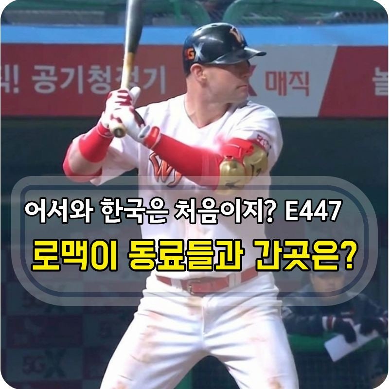 어서와 한국은 처음이지 E447 로맥 9월 24일 방송, 이문설렁탕부터 숲속한방랜드까지