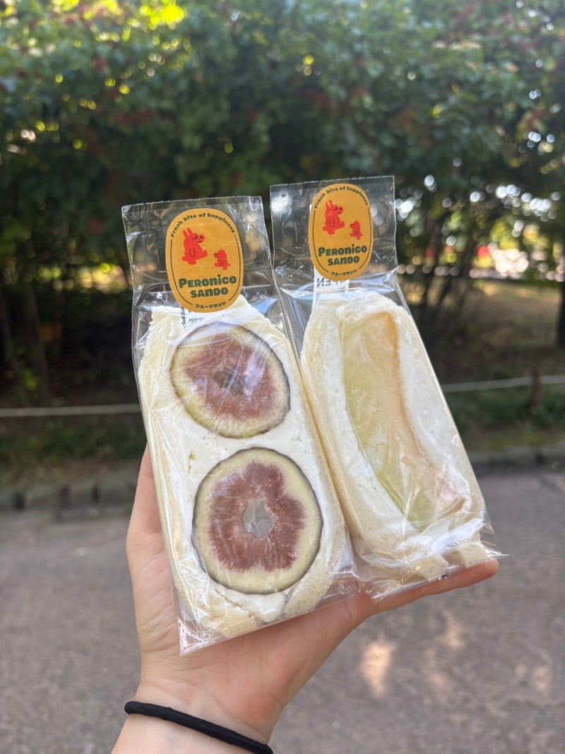 대전에서 페로니코 산도사서 한밭수목원 피크닉하기