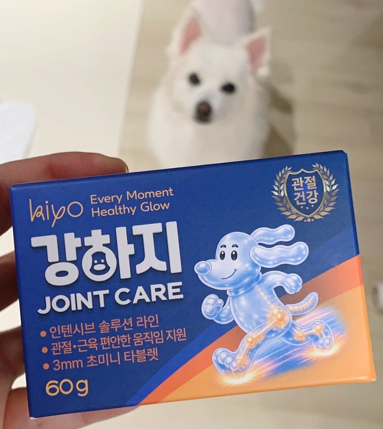 노령견 강아지 관절영양제, 강하지 조인트케어의 양·한방 조합과 초미니 타블렛