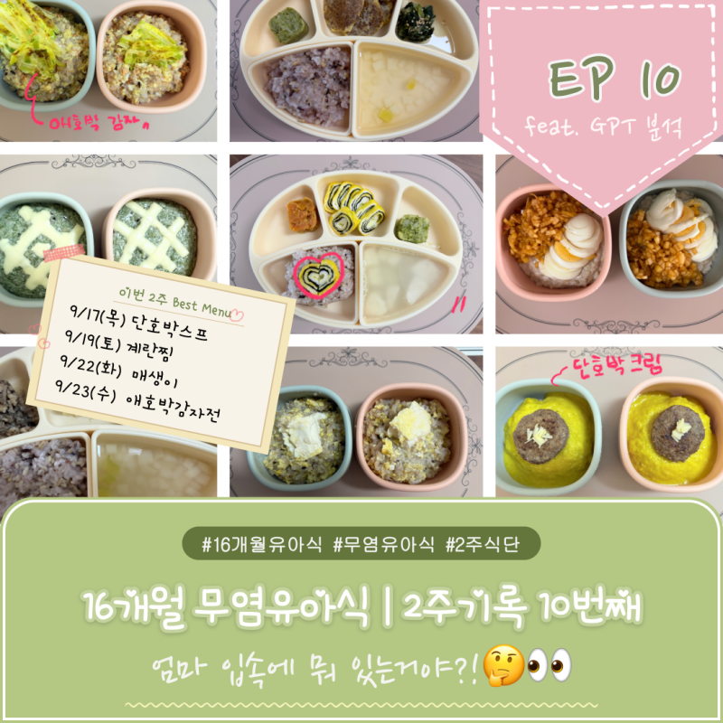 16개월 아기 무염 유아식｜2주 식단 기록 10번째 이야기 (9/14~9/27)