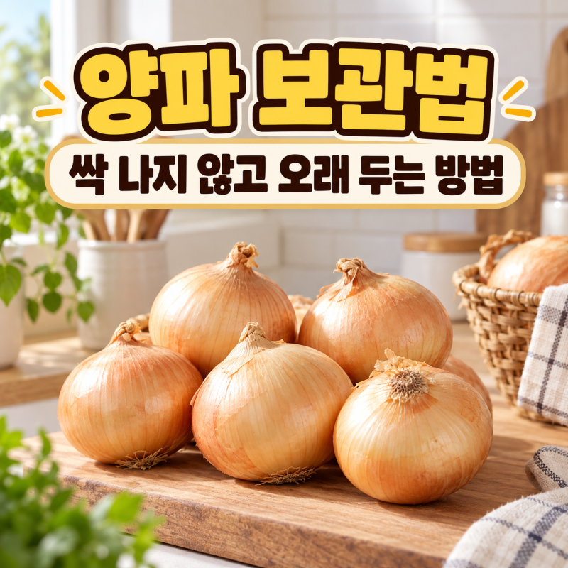 양파 보관법 싹 나지 않고 오래 두는 방법