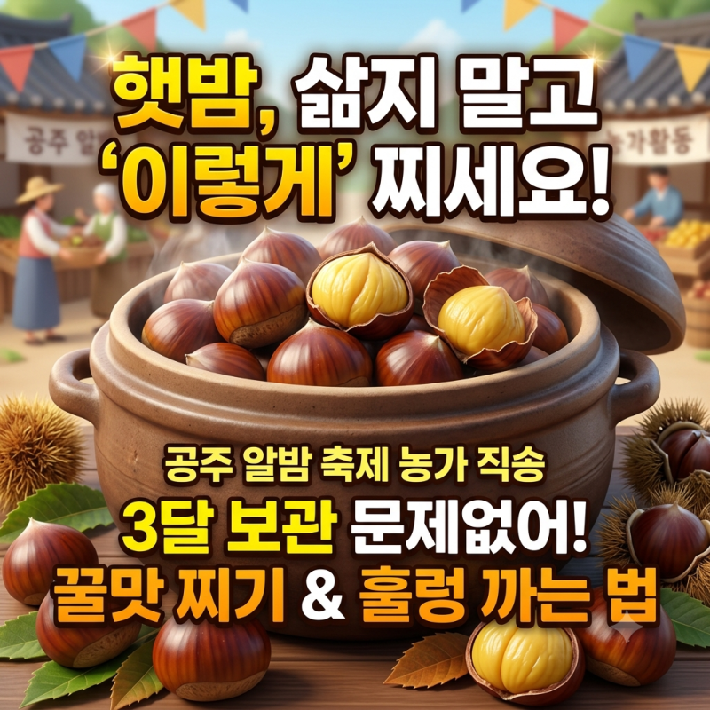 밤 삶는 방법, 공주 알밤 축제 농가 직송 햇밤 삶지 말고 '이렇게' 찌면 3달 보관도 문제없어....