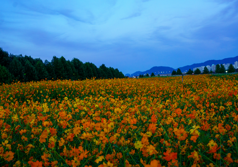 Gyeonggi Province Attractions: BEST 5 October Travel Destinations to Witness the Arrival of Autumn