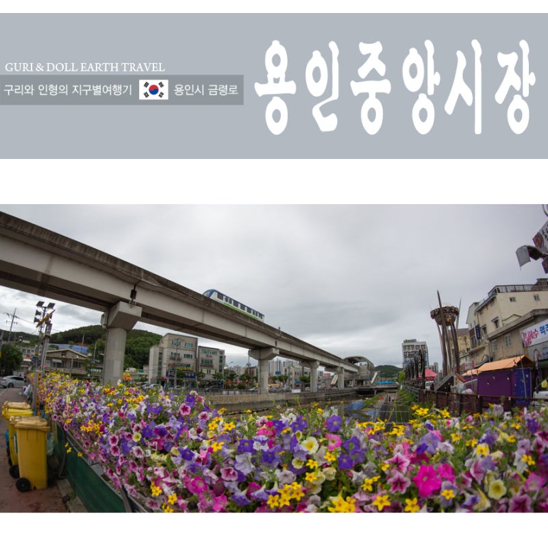 용인 중앙시장 공영 주차장 위치 및 5일장 볼거리 투어 코스