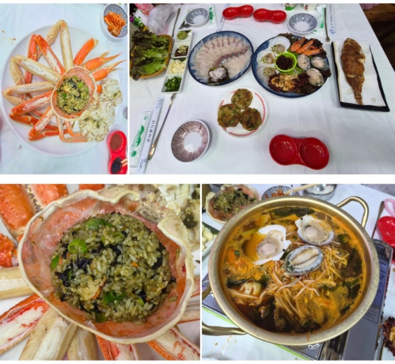 No.426 강원도 속초 대포항회 & 대포항해산물 맛집 !! 훈이네 대게 + 회 SET 맛 탐방기 ~