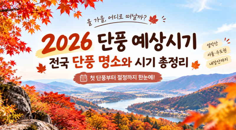 2026 단풍 예상시기 총정리｜설악산부터 서울·내장산까지 첫 단풍과 절정은 언제?