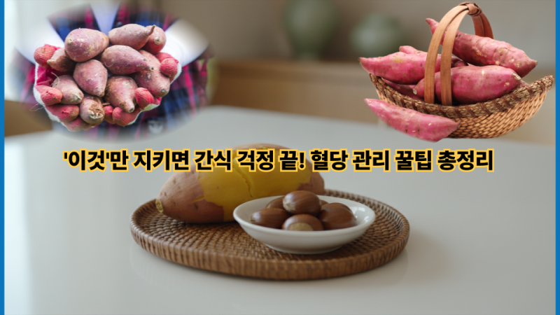 다이어트 고구마 밤, '이것'만 지키면 간식 걱정 끝! 혈당 관리 꿀팁 총정리
