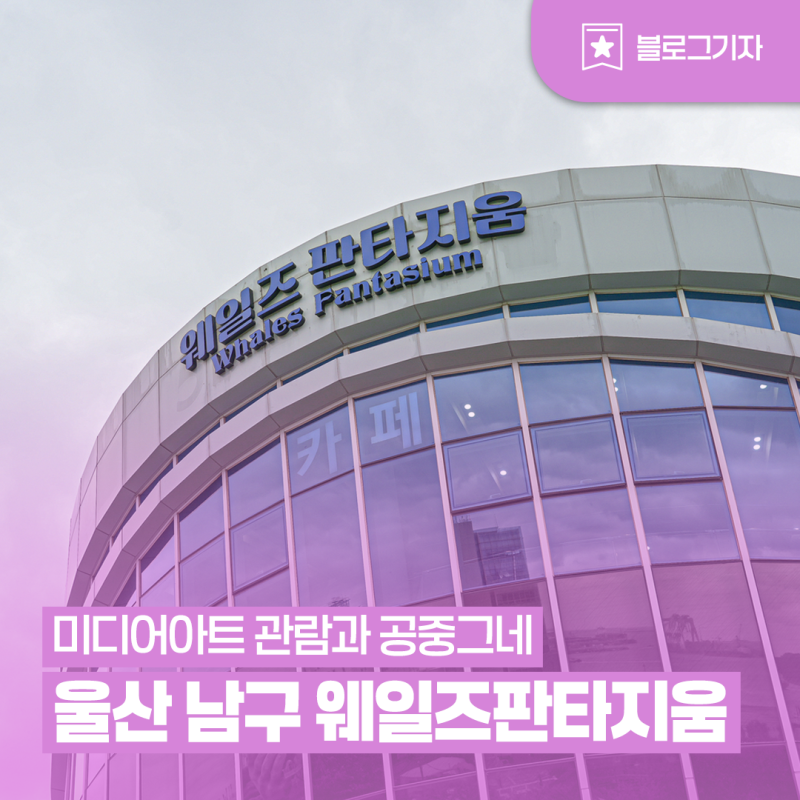 [블로그 기자] 울산 남구 웨일즈판타지움 미디어아트 관람과 공중그네