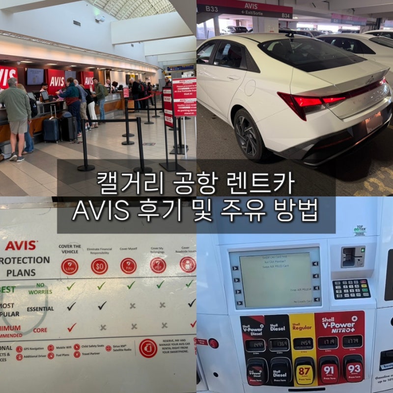 캘거리 공항 렌트카 AVIS 위치 및 클룩 렌트 예약 방법, 수령 반납 주유 방법, 가격, 보험, 후기....
