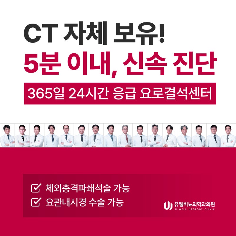 요로결석제거수술이 필요한 경우는? 자메닉스를 이용한 요관내시경수술까지