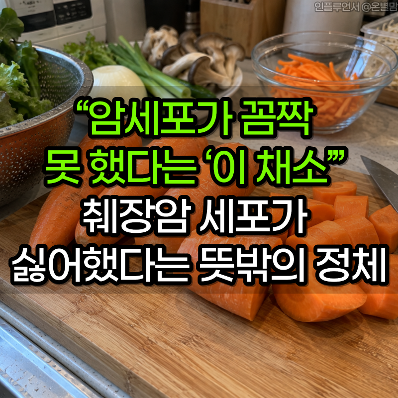 “암세포가 꼼짝 못 했다는 ‘이 채소’” 췌장암 세포가 싫어했다는 뜻밖의 정체