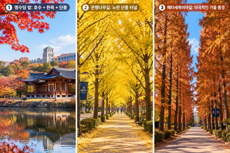 용인 단풍명소 추천! 한국외대 글로벌캠퍼스 명수당 단풍구경