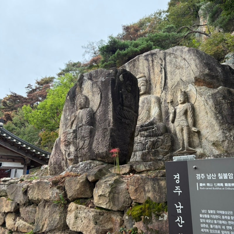 [경주 남산 관음사 코스(염불사지~칠불암~고위봉~천룡사지~고위봉~칠불암~염불사지)/등산]
