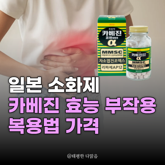 카베진 효능 복용법 가격 약국 소화제 알아보자