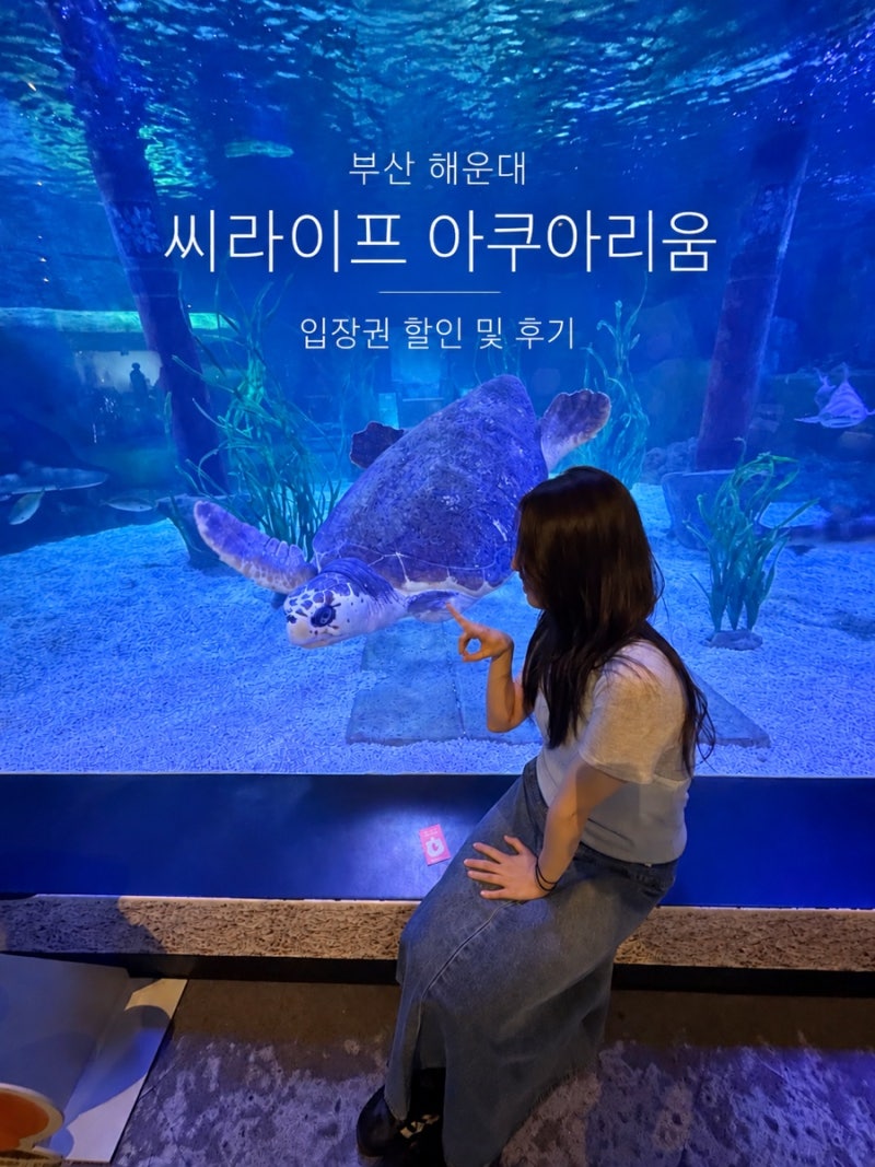 부산 해운대 놀거리 씨라이프 아쿠아리움 입장권 할인 및 후기
