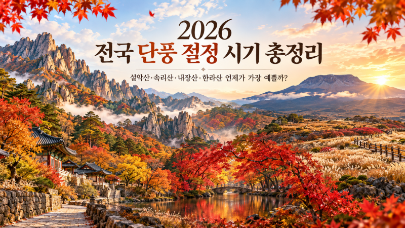 2026 전국 단풍 절정 시기 총정리｜설악산·속리산·내장산·한라산 언제가 가장 예쁠까?