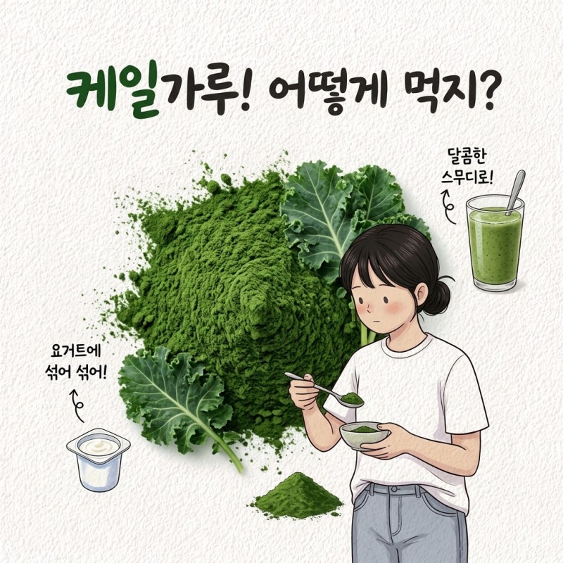 케일가루 물에 타면 쓴맛만 남음 먹는법 스무디 요거트 보관법 하루 섭취량