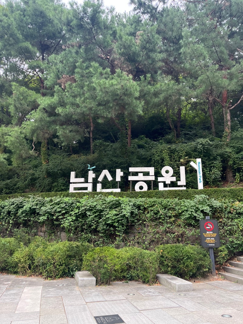 [연휴]6세 쌍둥이랑 다녀온 곳남산타워부터 일산호수공원까지