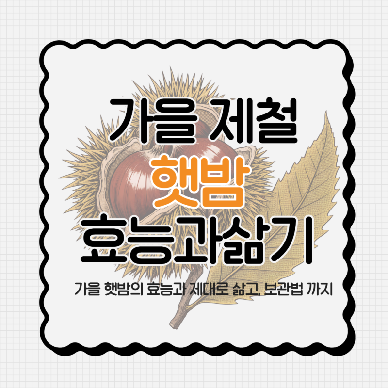 추석에 주운 밤, 그냥 먹어도 될까? 가을 제철 밤 삶는 법부터 보관법, 효능까지 전부 알아봤....