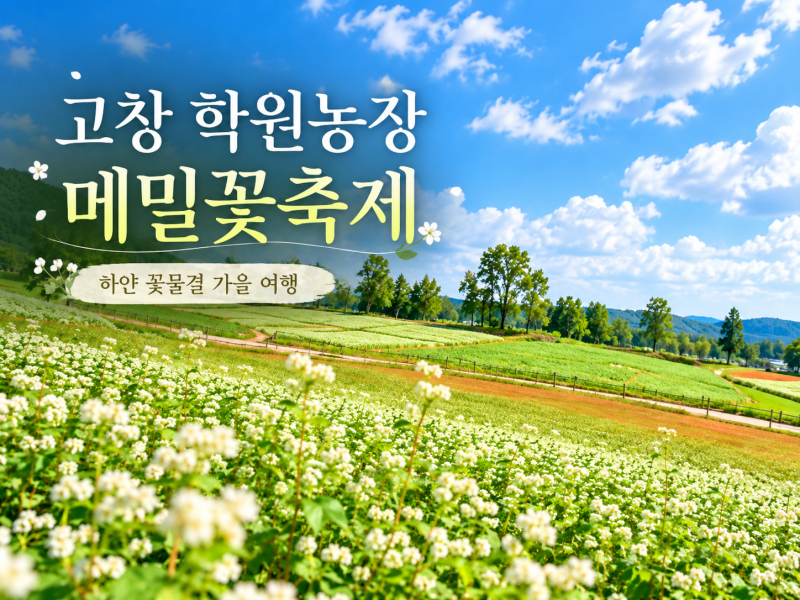 2026 고창 학원농장 해바라기 메밀꽃잔치, 입장료 총정리 (무료 대상·할인·주차)