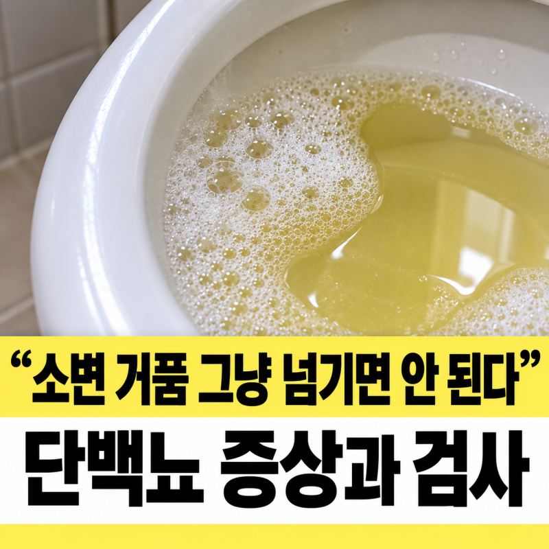 단백뇨 증상 소변 거품 생기는 이유