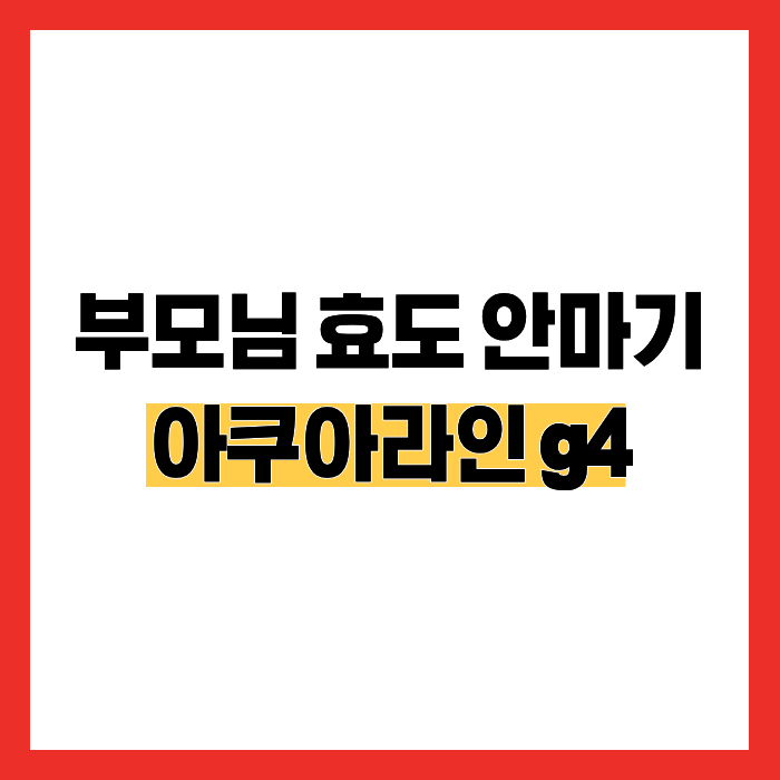 부모님 효도 안마기 선물 마사지기 수압마사지기 아쿠아라인 g4