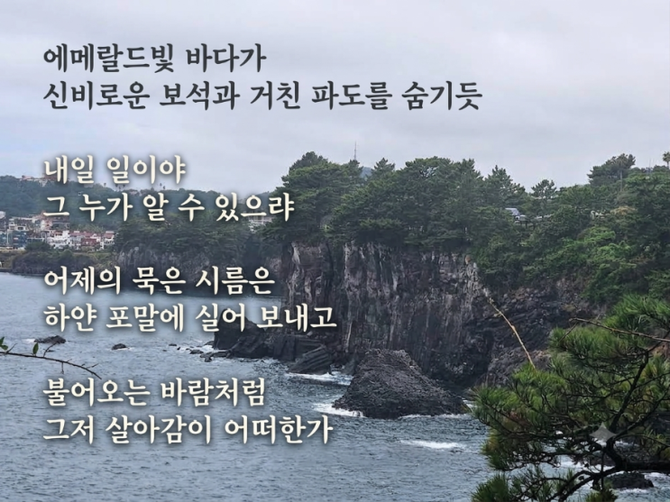 걸어서 제주해안 한바퀴