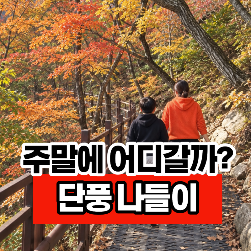 "아직 가지마세요" 단풍 나들이 가볼만한 곳, 설악산 여행 시기 정리