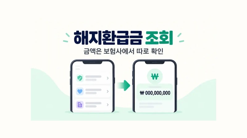 보험 해지환급금 조회, 내보험찾아줌에는 왜 금액이 안 나올까