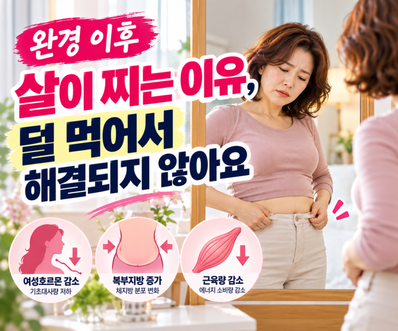 완경 이후 살이 찌는 이유, 덜 먹어서 해결되지 않는 이유